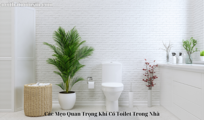 Các Mẹo Quan Trọng Khi Có Toilet Trong Nhà